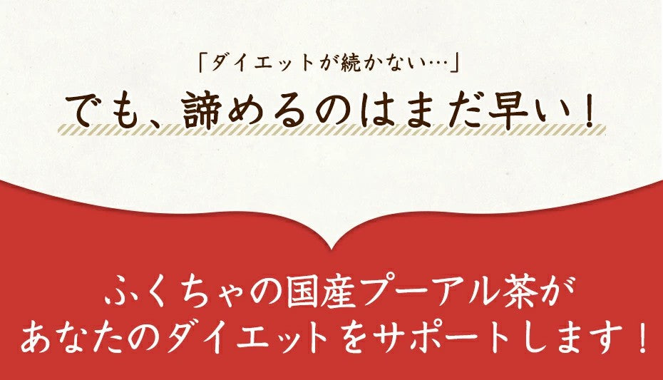 ふくちゃのがぶ飲み国産プーアル茶ティーバッグ5g×10包│5g×30包│本気のダイエットで理想のスタイルを目指す方には国産プーアル茶！送料無料でお届けします ふくちゃ