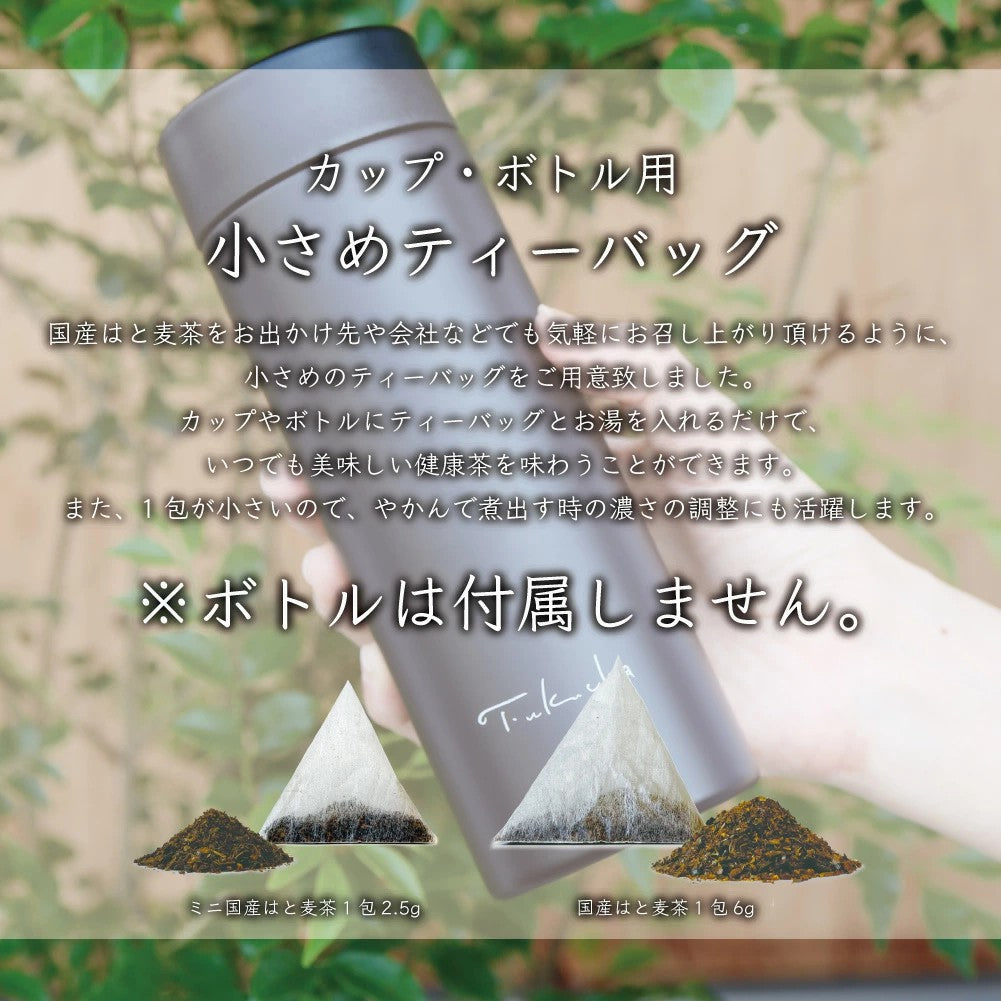 ハトムギ茶 100包 はと麦茶 国産 水出し アイス 国産はと麦茶 ハト麦茶 ハト麦 健康茶美容茶 お茶 鳩麦茶 ノンカフェイン  残留農薬?放射能検査済 マイボトル ふくちゃ がぶ飲み はとむぎ茶ティーバッグ2.5g×100包 ふくちゃ