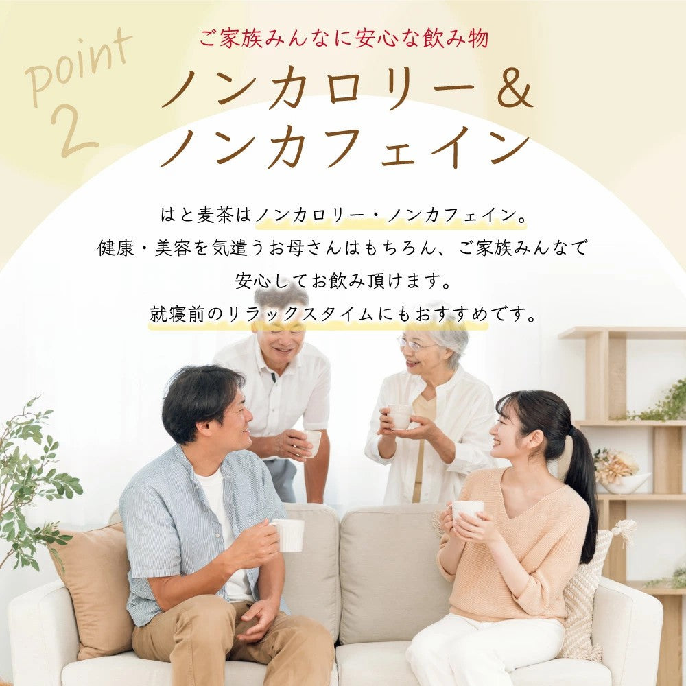 国産 はと麦茶 270g はとむぎ茶 ノンカフェイン メガ盛り 鳩麦茶 ティーバッグ 45包 水出し ハトムギ茶 ハト麦茶  国産はと麦茶 100% ふくちゃ がぶ飲み 健康茶 美容茶 煮出し お茶 残留農薬&放射能検査済 ふくちゃ