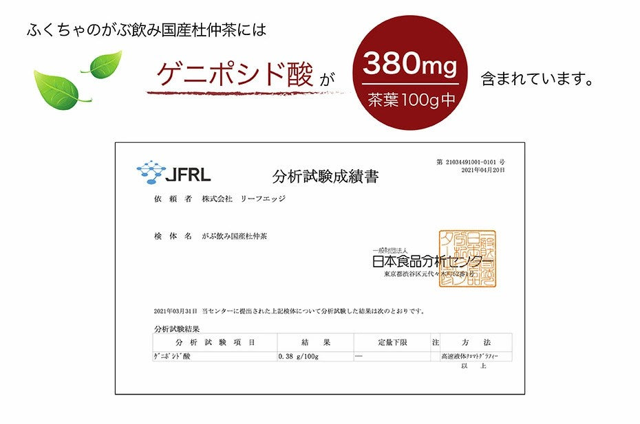 杜仲茶 国産 無添加 国産杜仲茶 トチュウ茶 杜ちゅう茶  ふくちゃのがぶ飲み杜仲茶 メガ盛りティーパック 福袋 国産 送料無料 とちゅう茶 ふくちゃ