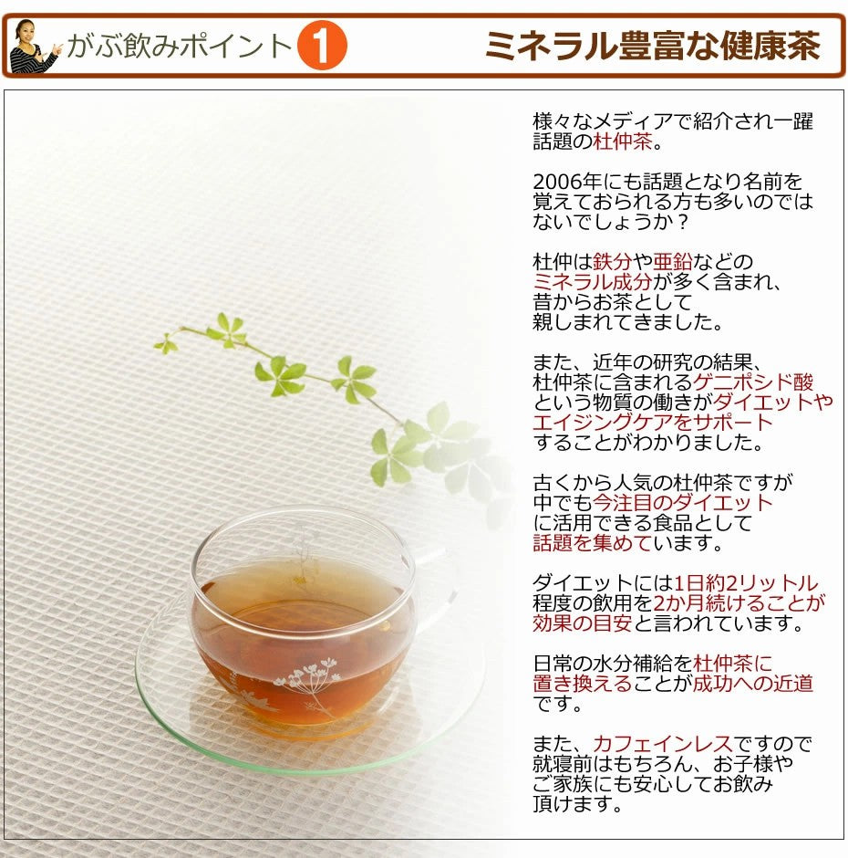 杜仲茶 国産 無添加 国産杜仲茶 トチュウ茶 杜ちゅう茶  ふくちゃのがぶ飲み杜仲茶 メガ盛りティーパック 福袋 国産 送料無料 とちゅう茶 ふくちゃ