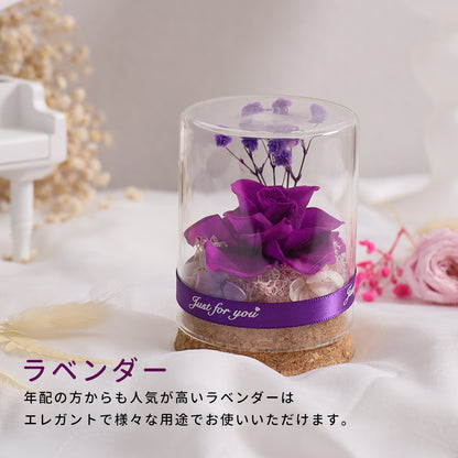 IwaiLoft mini Preserved Flower Gift Bouquet Rose Present Non-withering Flower Bottle Flower Birthday Gift, Celebration, Recital, Gift Glass Dome Mother's Day Girlfriend Wife Present Birthday Wedding Gift Flower Interior Good Luck